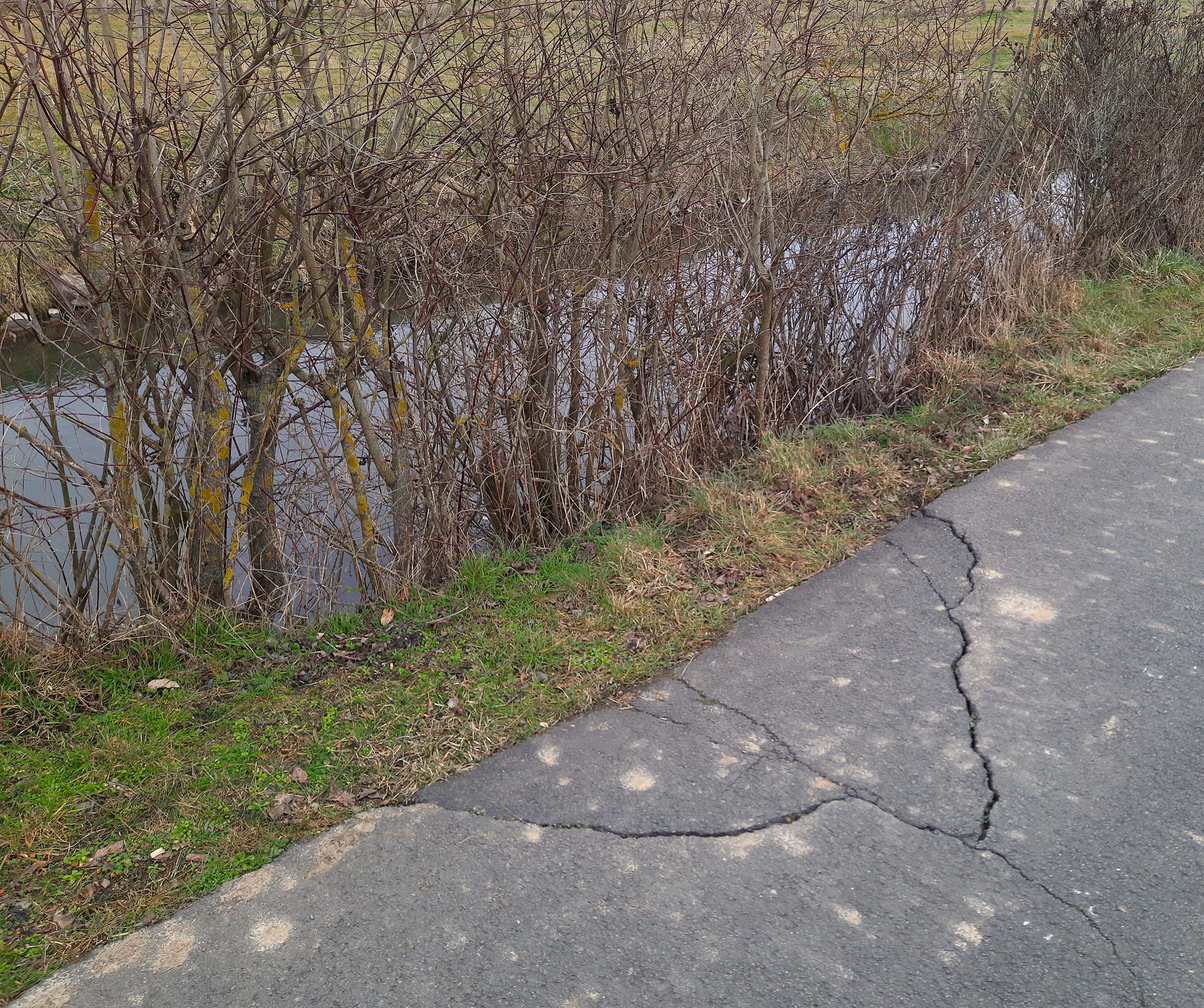 Ein abgesacktes Stück Asphalt auf den Ruhrtalradweg.